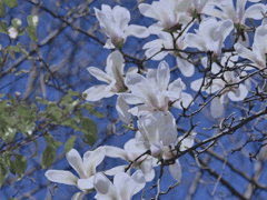 2021四月第一天早安励志说说 四月早安励志语录