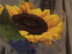 30件变优秀提升幸福感的事情 带给我们幸福感