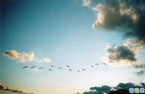 唯美英文励志正能量感悟人生的句子和图片5