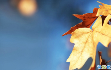 几米经典语录关于爱情说说带图片：当我想你的时候，你会不会也刚好正在想我16