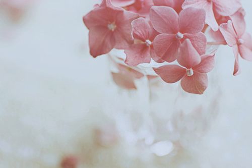 甜甜的适合恋爱中的男生女生发的说说带图片13