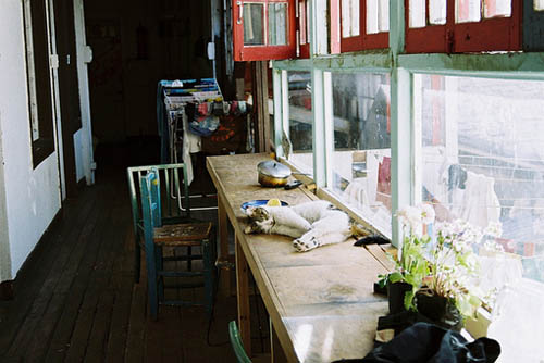 唯美浪漫的说说带图片 最美好的事情就是抬头遇见了你3