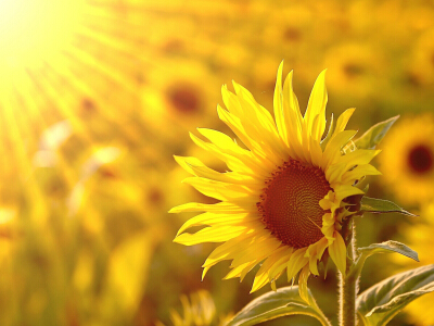 励志说说致自己带图片6 励志说说致自己带图片6