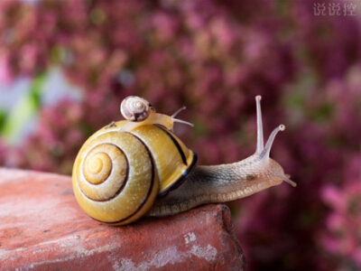 超拽个性说说带图片6 超拽个性说说带图片6