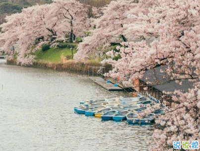 假装开心的说说带图片 心里有苦不想说的心情短语14