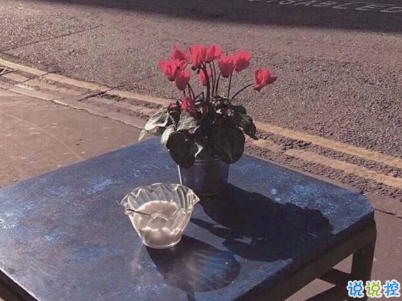 微信经典文艺小短句带图片 听起来很有感觉的文艺句子10