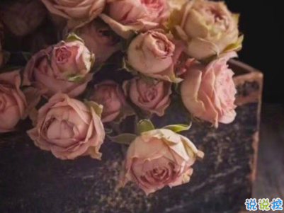 微信经典文艺小短句带图片 听起来很有感觉的文艺句子5