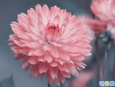 温柔干净的唯美句子配图 适合女生说说唯美文字控4