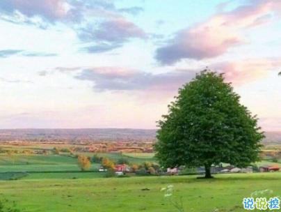 温柔干净的唯美句子配图 适合女生说说唯美文字控10