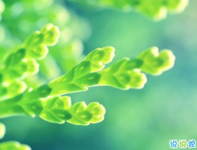 最新朋友圈说说阳光温暖 听起来很舒服轻松的句子1