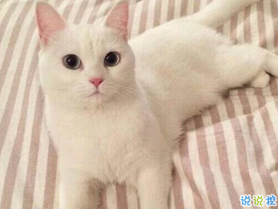 2019十一月你好微博说说配图 元气满满的句子阳光励志7