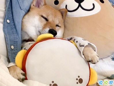 抖音沙雕语录带图片 搞笑心灵毒鸡汤配图10