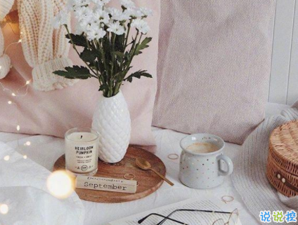 睡前晚安一句话温暖 晚安温馨句子大全1