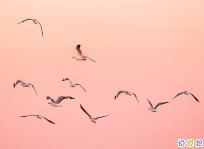 励志说说致自己2020最新 一句话激励自己努力奋斗2