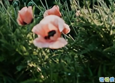 喝酒时朋友圈伤感文案 触碰心灵的伤感句子1