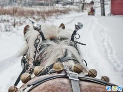 冬天下雪天文案唯美带图片 抖音最火下雪天说说8