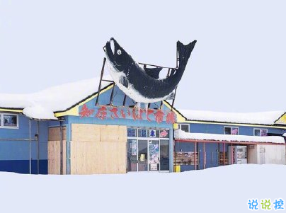 冬天下雪天文案唯美带图片 抖音最火下雪天说说7