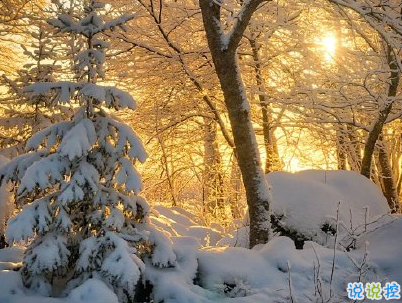 2020下雪天朋友圈文案带图片 雪景说说唯美浪漫3