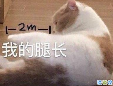 发朋友圈的沙雕文案 笑到窒息的说说句子1