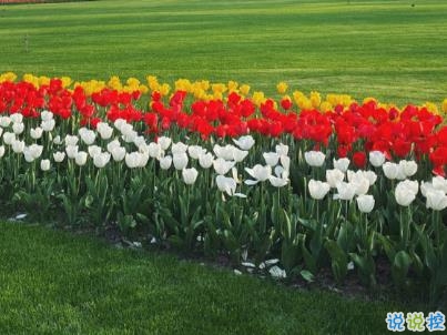 唯美文艺说说简短带图片 别错过落日与夕阳7