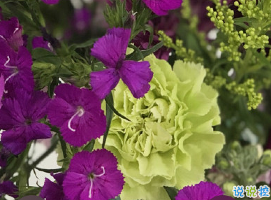 2020母亲节朋友圈文案 母亲节说说文艺经典2