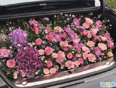 官宣恋爱的说说配图 官宣句子简短创意4