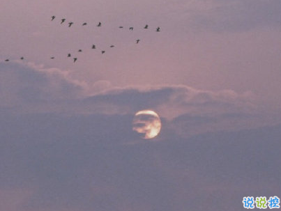 官宣恋爱的说说配图 官宣句子简短创意6