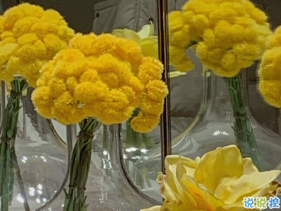 官宣恋爱的说说配图 官宣句子简短创意9