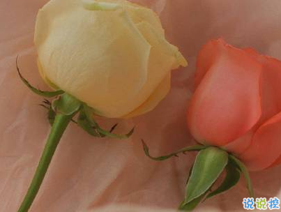 官宣恋爱的说说配图 官宣句子简短创意1