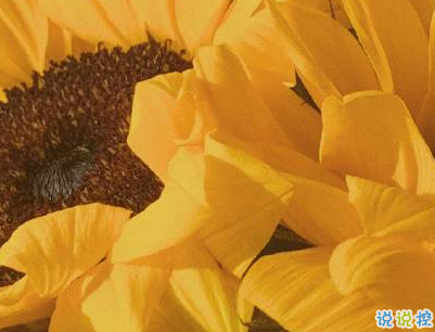 官宣恋爱的说说配图 官宣句子简短创意2