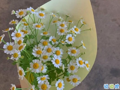 晒风景照的唯美说说配图 适合发风景的朋友圈文案1