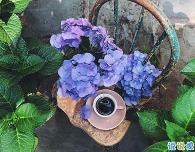 朋友之前的友谊说说配图 友情经典说说很暖心13