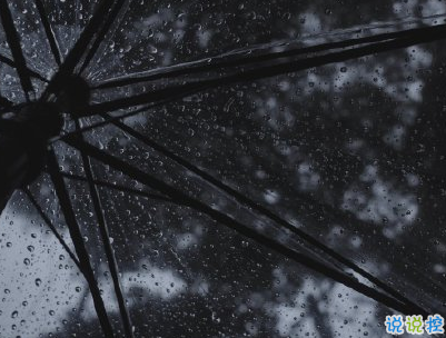 下雨天浪漫文案 雨天浪漫唯美说说带图片5