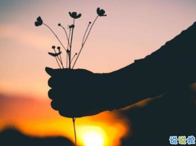 唯美说说心情句子带图片 既然生便与夏花一样的绚烂11