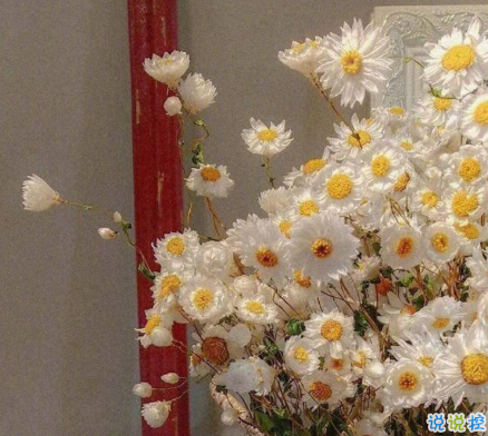 很暖很治愈的短句带唯美图片 打不开的心结就系成蝴蝶结3