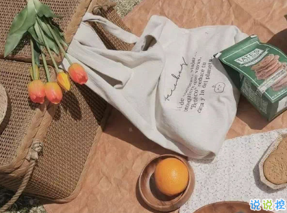 宝藏女孩专属甜句超级温柔 所有动听的话配上实际行动才有意义11