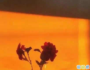 宝藏女孩专属甜句超级温柔 所有动听的话配上实际行动才有意义12