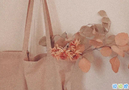 宝藏女孩专属甜句超级温柔 所有动听的话配上实际行动才有意义8