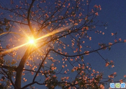 气质唯美适合各种心情的句子 一个人散步是和地球单独的约会2