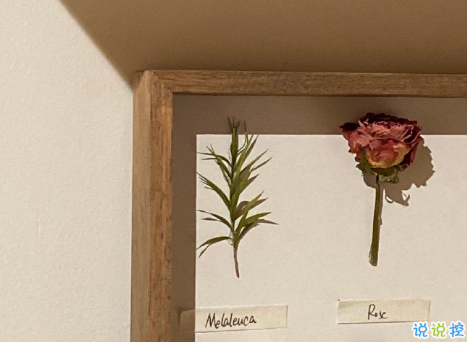 微信令人伤感的句子带图片 别总因为迁就别人就委屈自己11