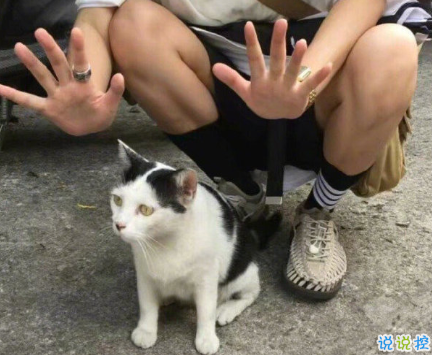 发一条有有趣的朋友圈说说 夏天那么热暗恋会变成热恋吗9