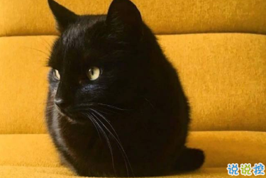 关于秋天的唯美句子 叠穿的季节就来了5