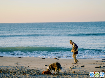 一些特别戳心窝的句子 想陪你看月落重生灯再红13