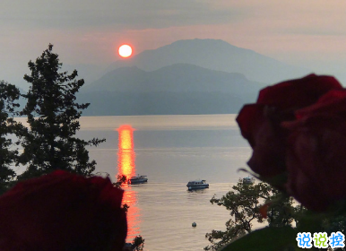 可爱到冒泡的空间个性文案 愿得一人心免得老相亲2