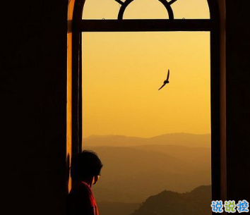 一定要收藏的宝藏句子 飞鸟与鱼不同路 1