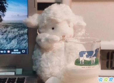 用来表达爱情的诗句 诗意且唯美的句子4