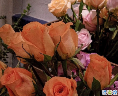 2020喜迎国庆欢度中秋 团圆十月喜迎华夏中秋佳节1