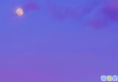 一波极具温柔的文案句子 野鹤奔向闲云我步入你2