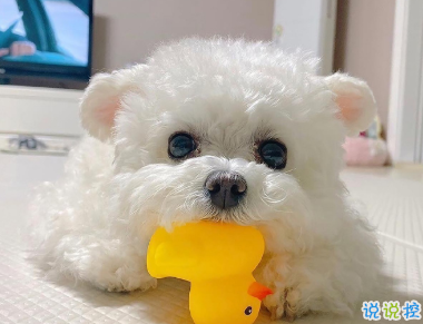 朋友圈恋爱纪念日文案 想继续和你看星空5