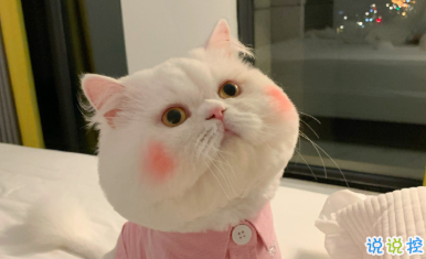 生日快乐有趣的祝福文案 要不动声色的做个大人啦1